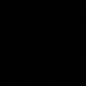 Meet your Posher, Trudy